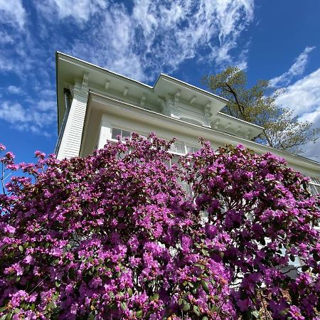 Bloom Farm Guesthouse Mount Vision ภายนอก รูปภาพ