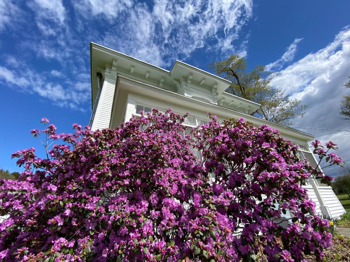 Bloom Farm Guesthouse Mount Vision ภายนอก รูปภาพ