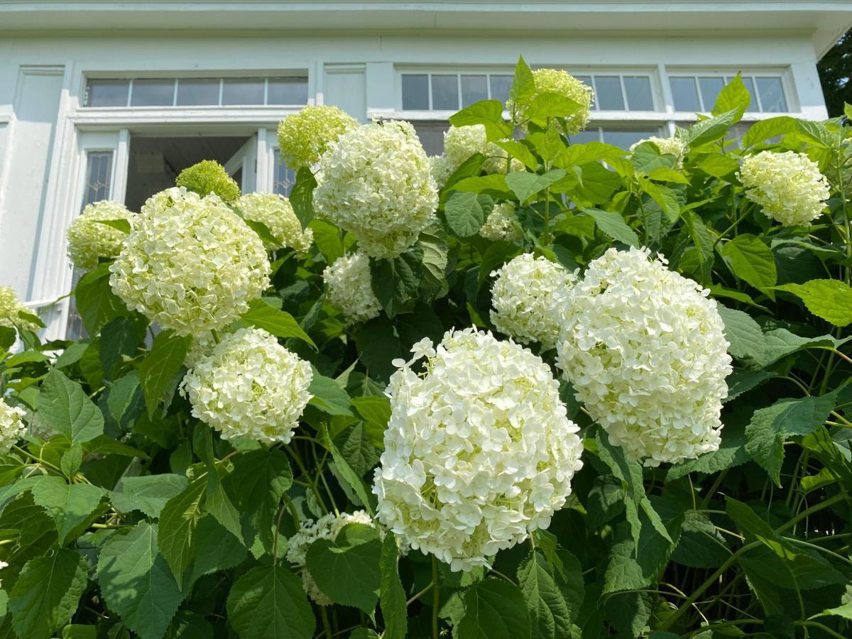 Bloom Farm Guesthouse Mount Vision ภายนอก รูปภาพ