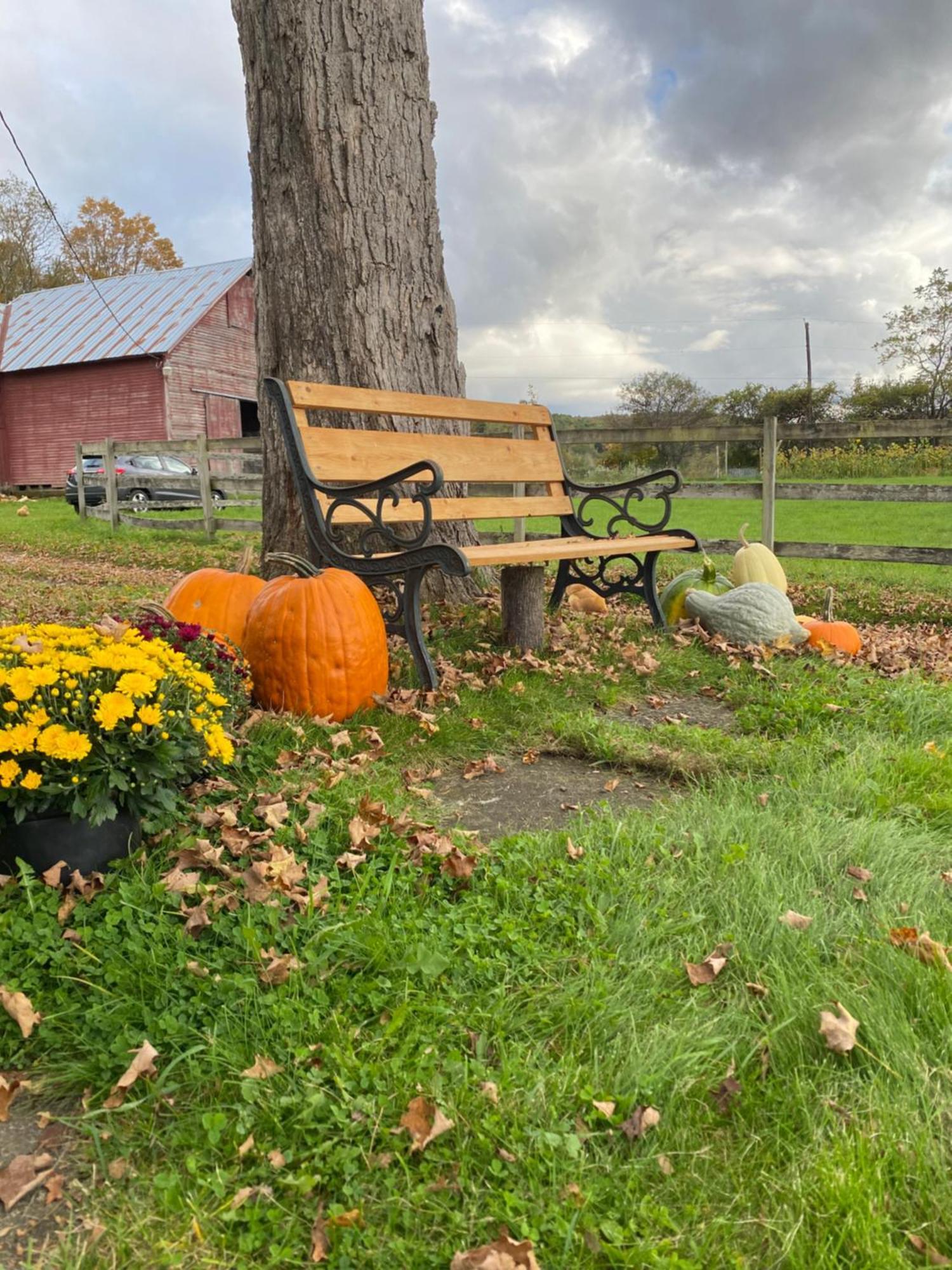 Bloom Farm Guesthouse Mount Vision ภายนอก รูปภาพ